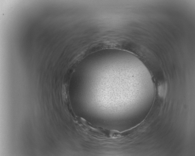 X0000066961347200604071954