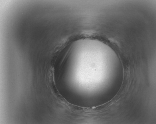 X0000066961349200604071954