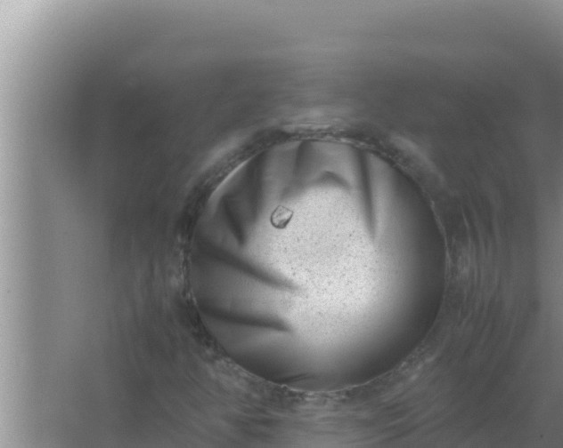 X0000066961350200604071954