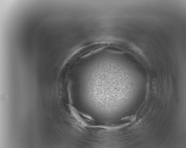 X0000066961352200604071953