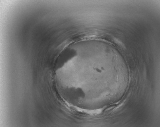 X0000066961353200604071953