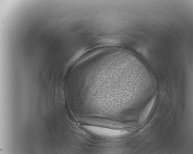 X0000066961354200604071953