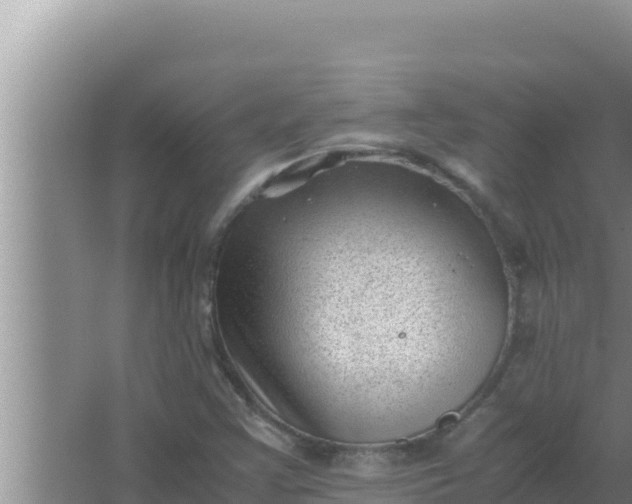 X0000066961355200604071953