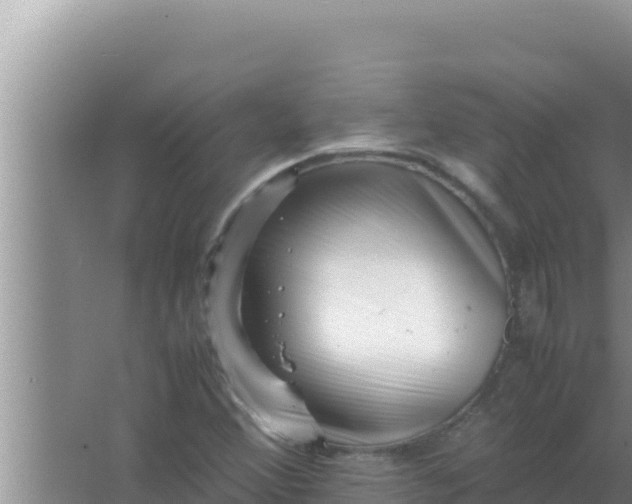 X0000066961356200604071953