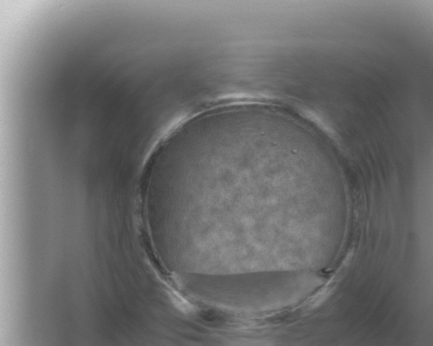 X0000066961357200604071953