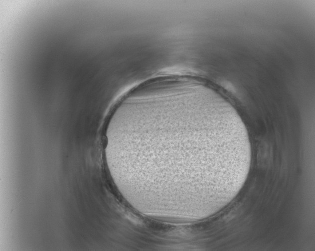 X0000066961358200604071953