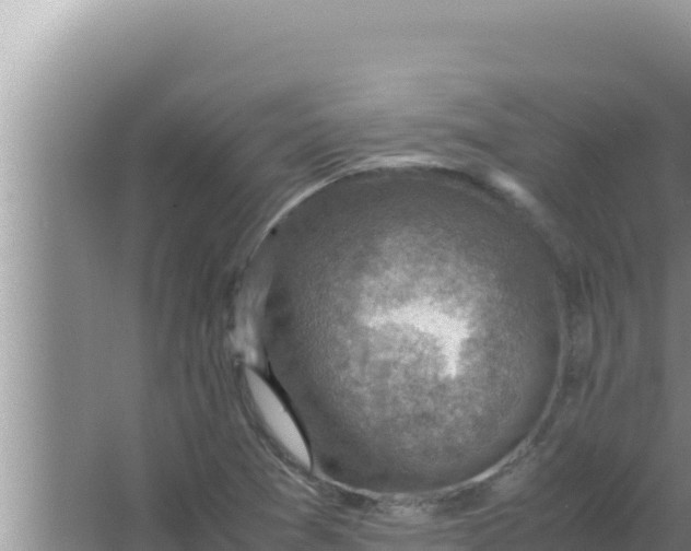 X0000066961361200604071953