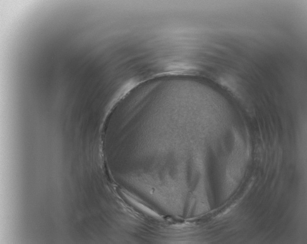 X0000066961362200604071953