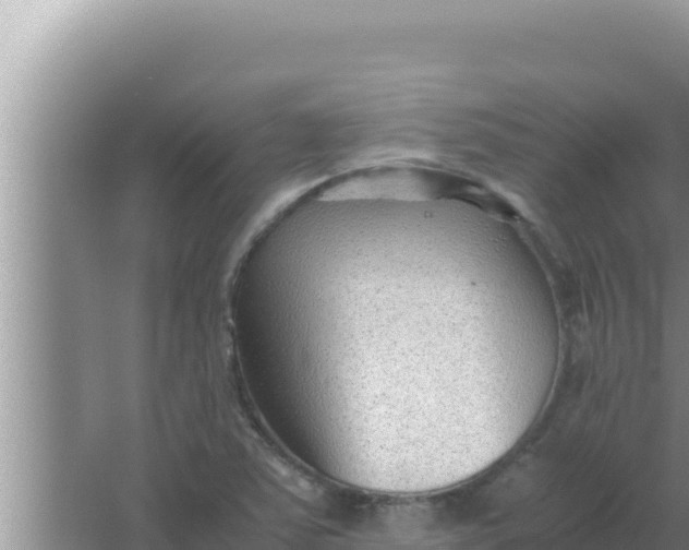 X0000066961363200604071953