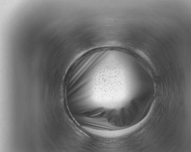 X0000066961364200604071953