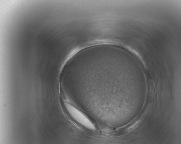 X0000066961365200604071953