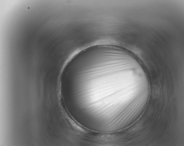 X0000066961366200604071953