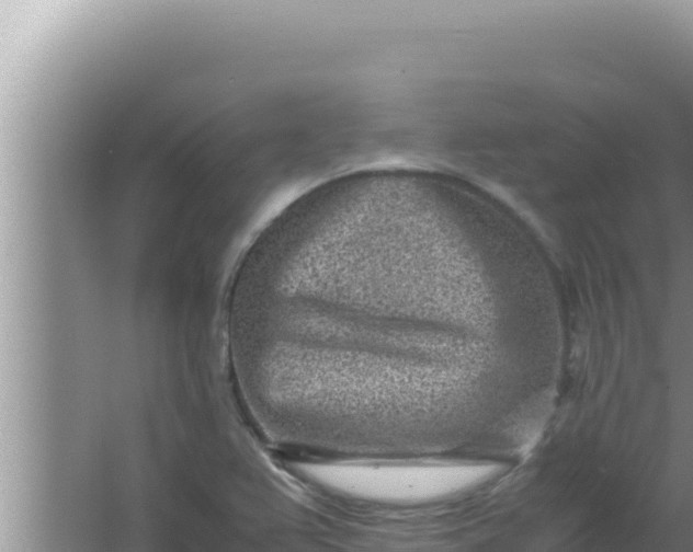 X0000066961367200604071953