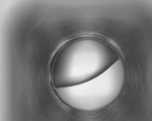 X0000066961368200604071953