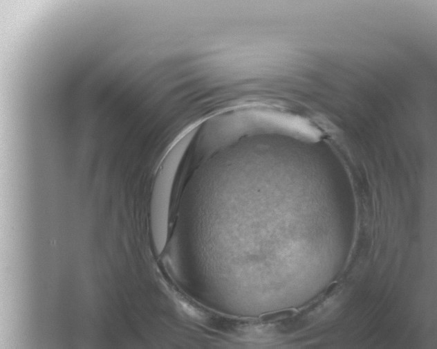 X0000066961369200604071953