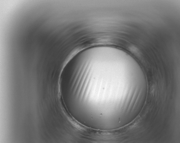 X0000066961370200604071953