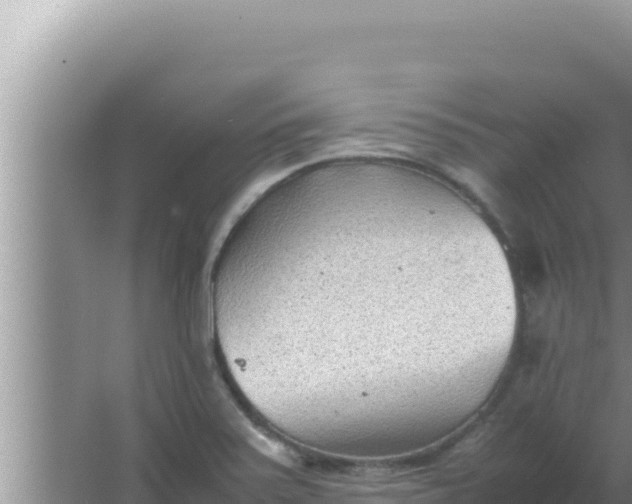 X0000066961371200604071953