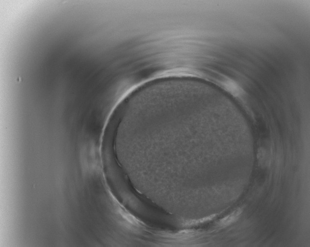 X0000066961372200604071953