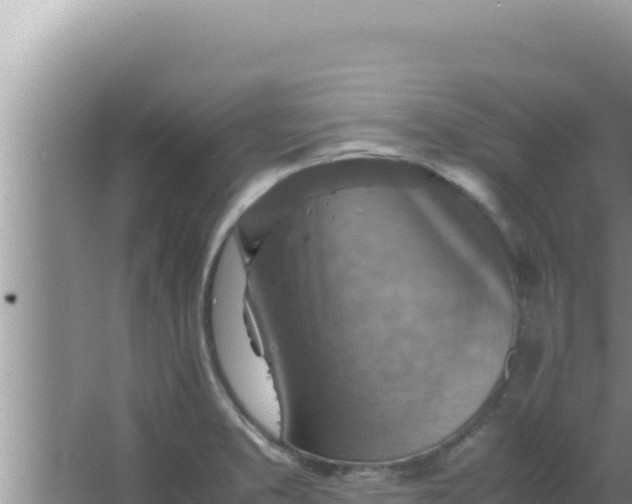 X0000066961373200604071953