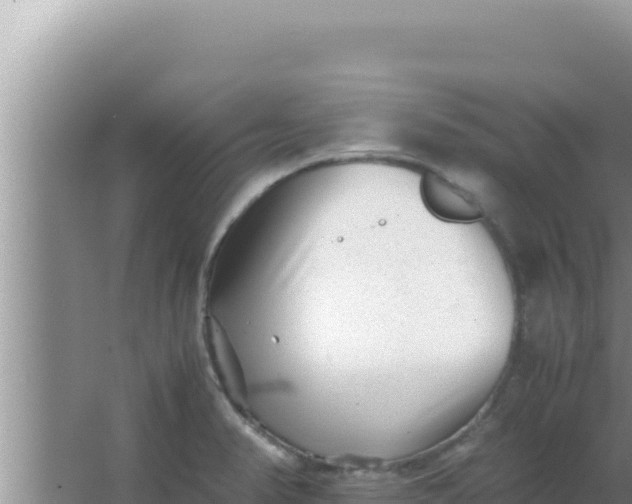 X0000066961374200604071953