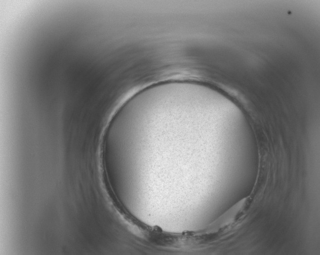 X0000066961375200604071953