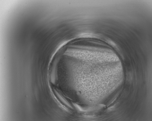 X0000066961376200604071953