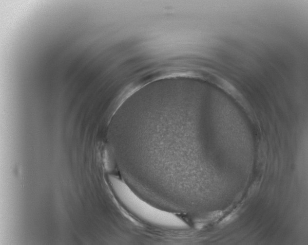 X0000066961377200604071953