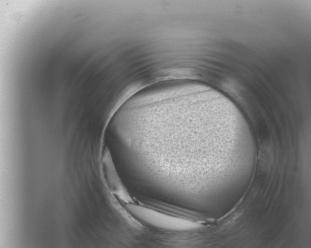 X0000066961378200604071953