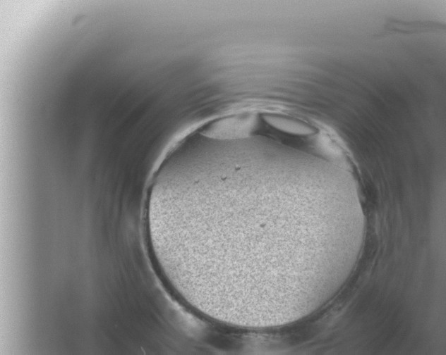 X0000066961379200604071953