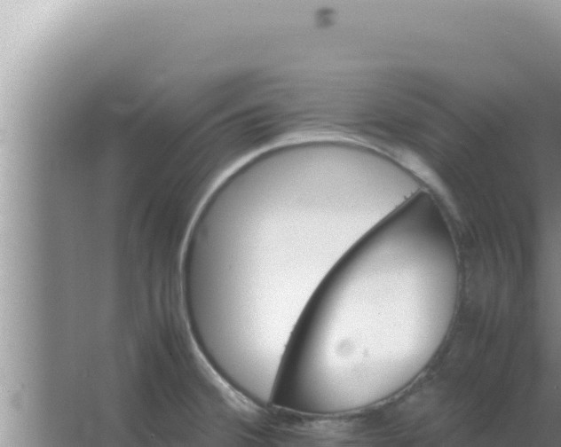 X0000066961380200604071953