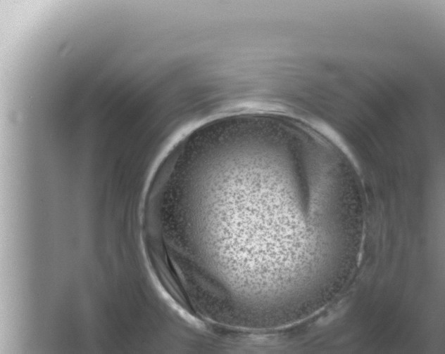 X0000066961381200604071953