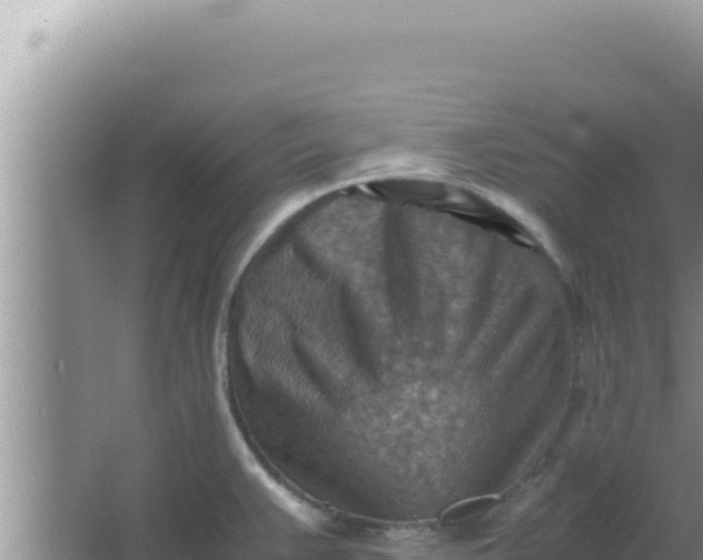 X0000066961383200604071953