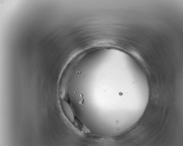 X0000066961384200604071953