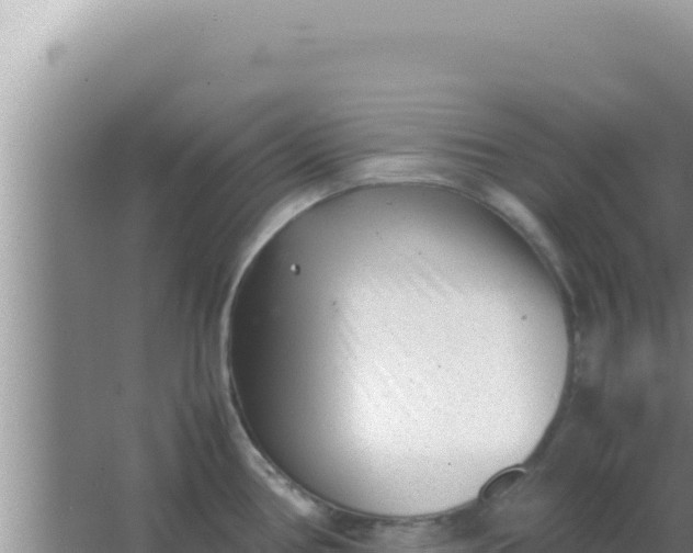 X0000066961386200604071953