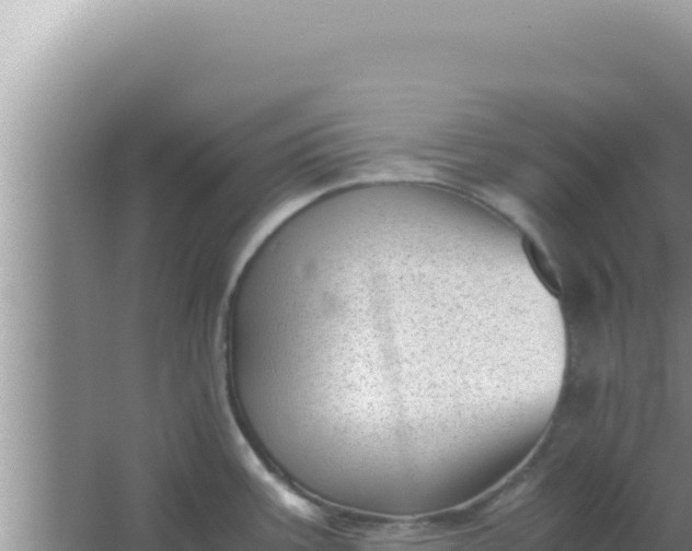 X0000066961387200604071953