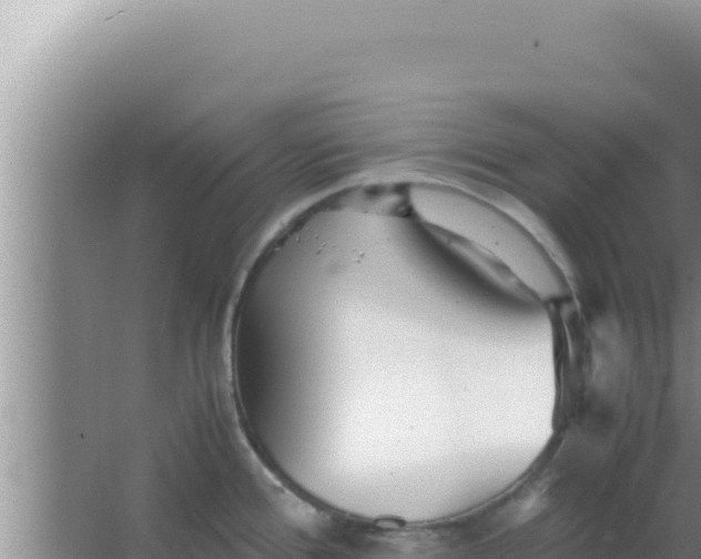 X0000066961388200604071953