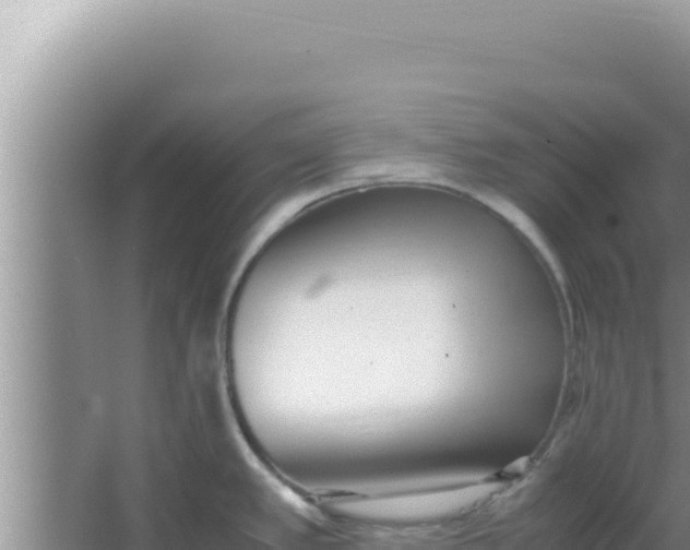 X0000066961389200604071953