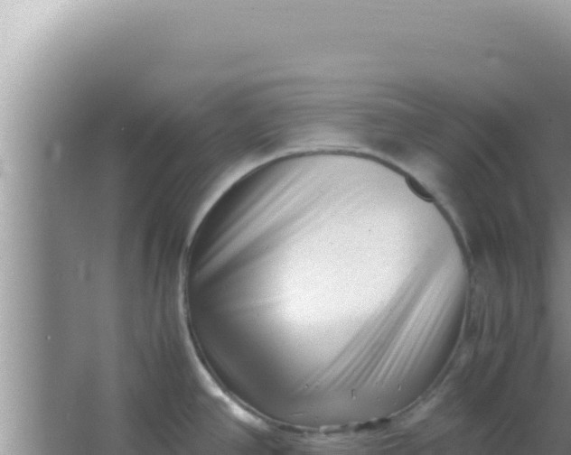 X0000066961390200604071953