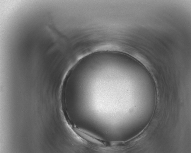 X0000066961392200604071953