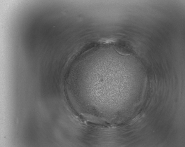 X0000066961393200604071952