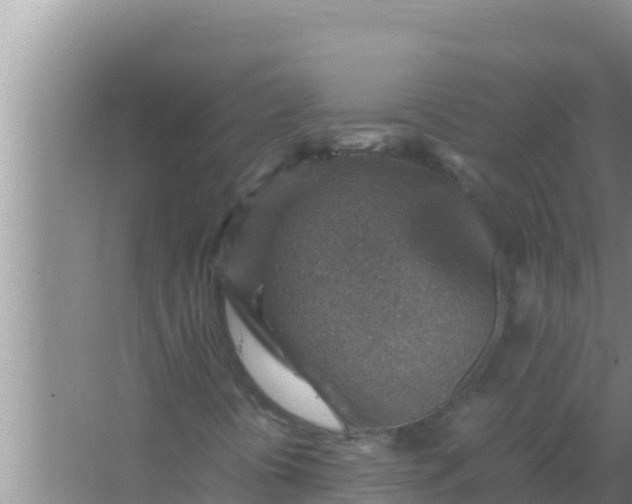 X0000066961394200604071952