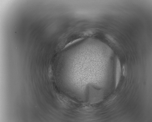 X0000066961395200604071952