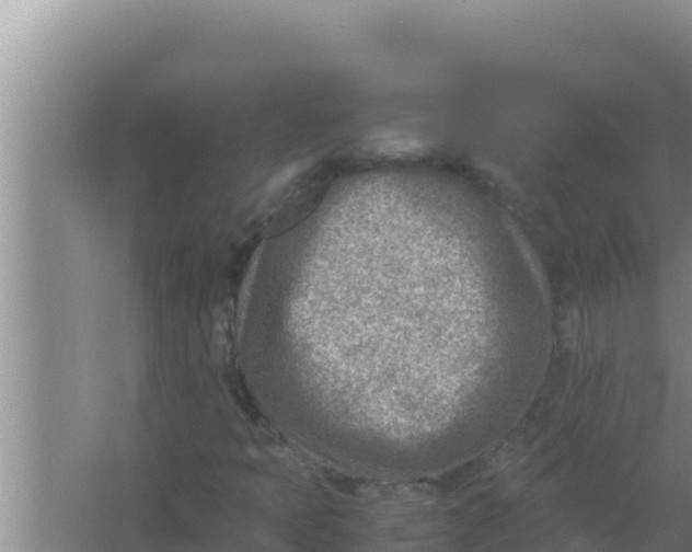 X0000066961397200604071952