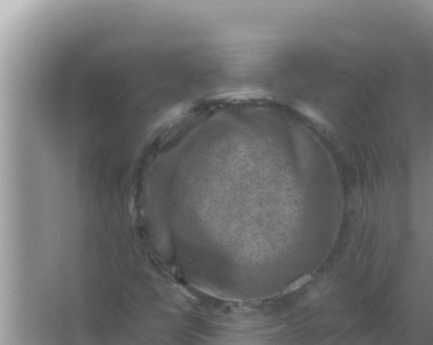 X0000066961398200604071952