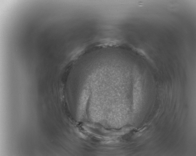 X0000066961399200604071952