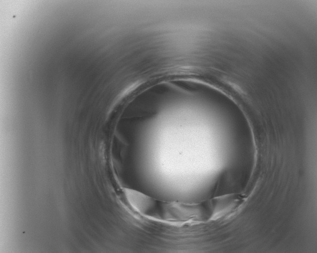 X0000066961402200604071952