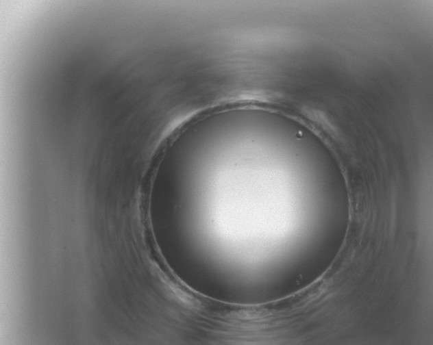 X0000066961404200604071952