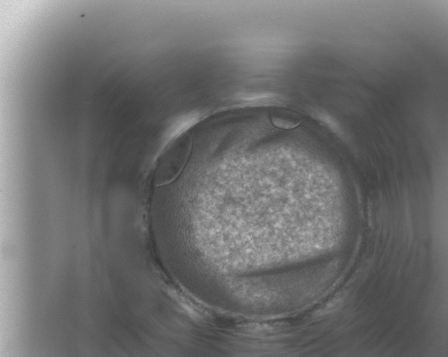 X0000066961405200604071952