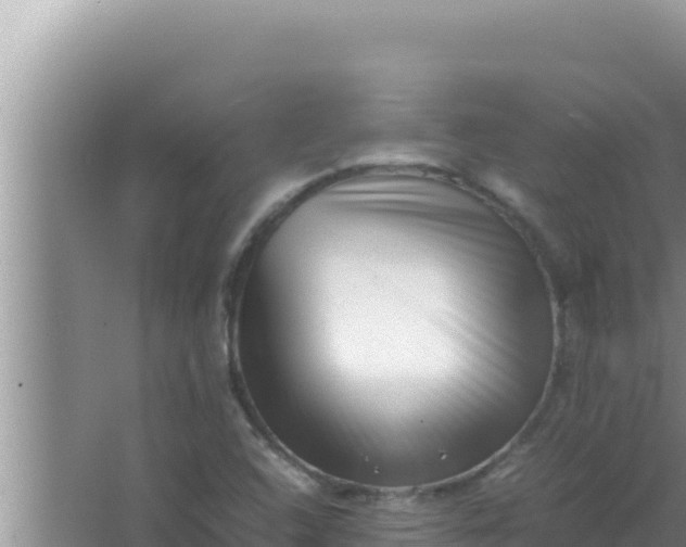 X0000066961408200604071952