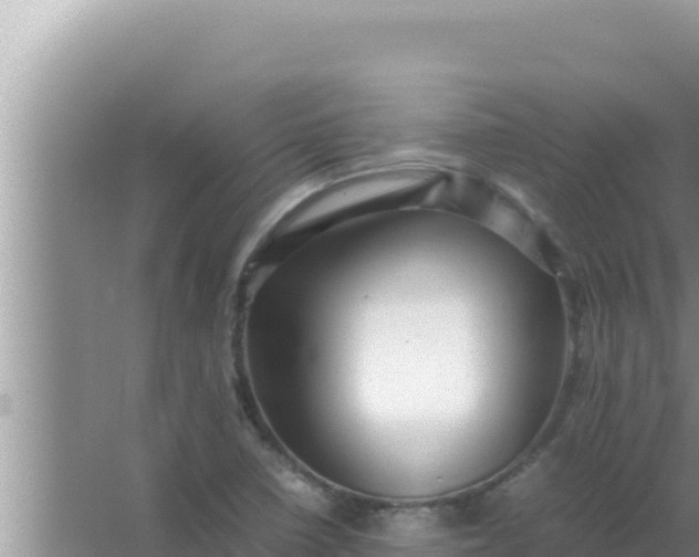 X0000066961410200604071952